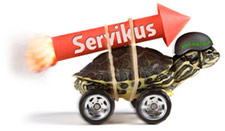 Servikus speed turtle
